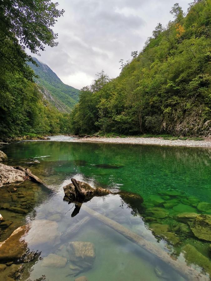 Ethno Cottage Momo Tepca Žabljak Esterno foto