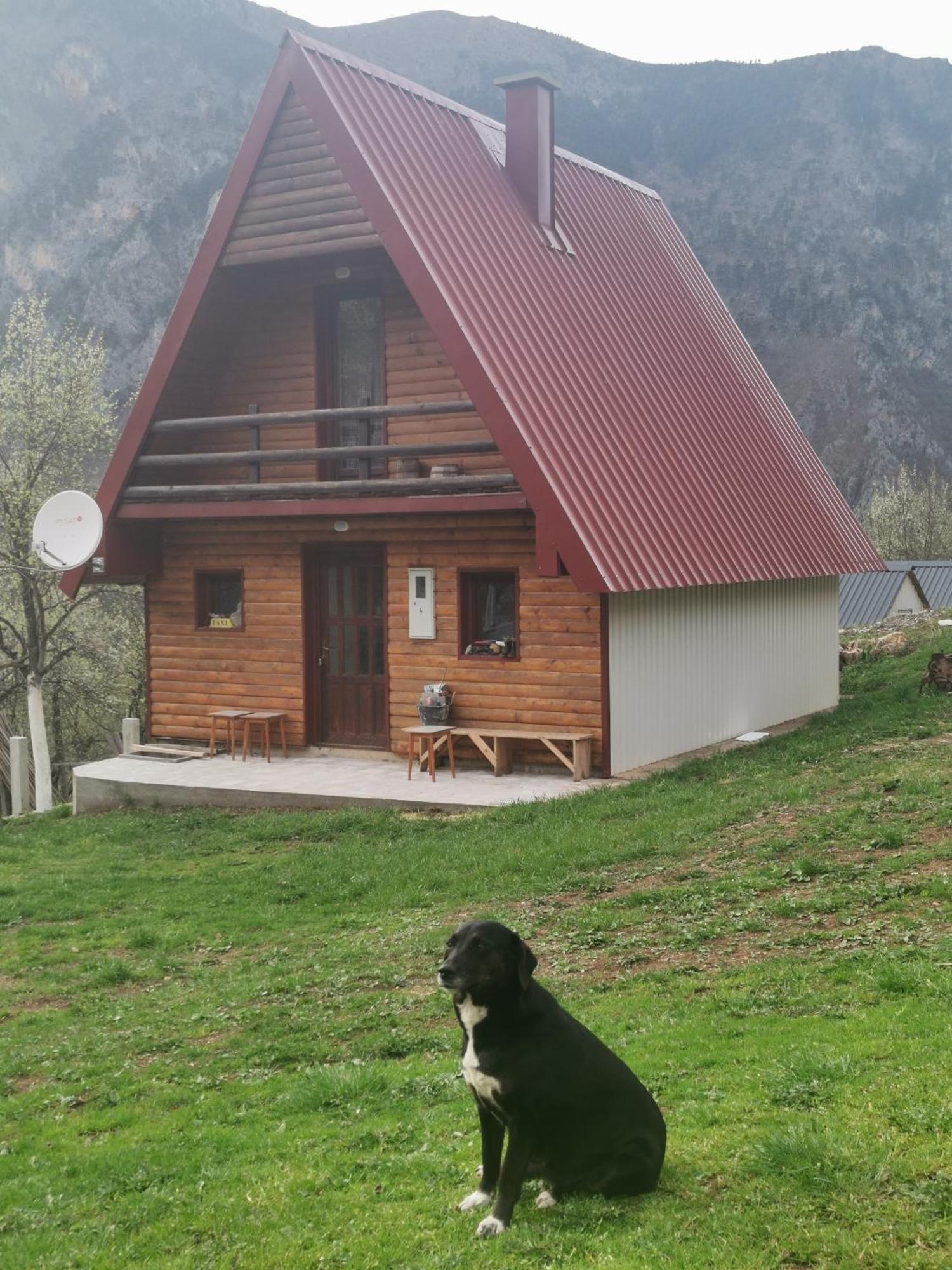Ethno Cottage Momo Tepca Žabljak Camera foto