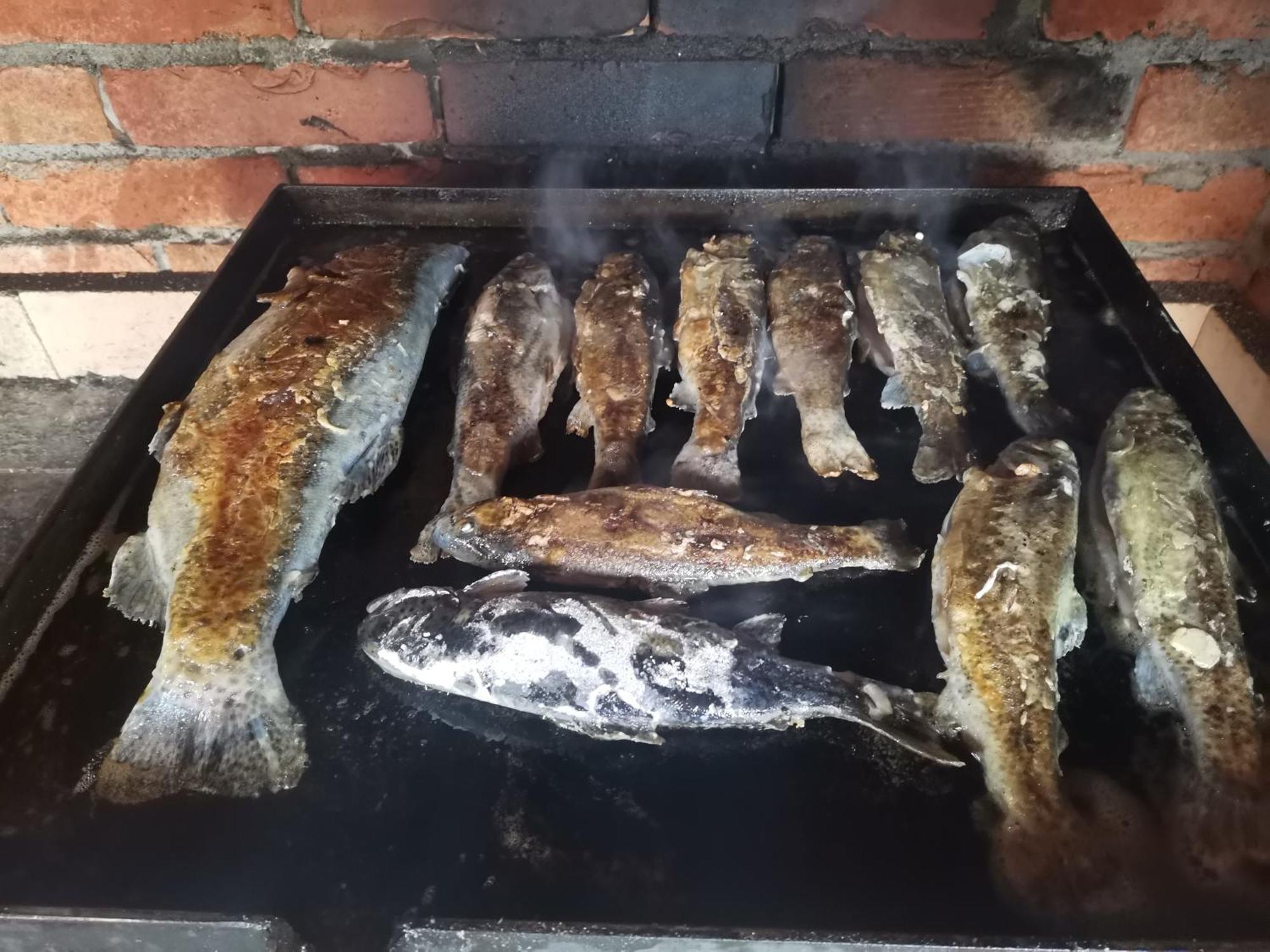 Ethno Cottage Momo Tepca Žabljak Camera foto