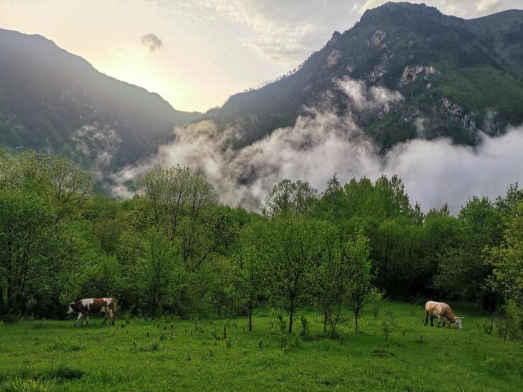 Ethno Cottage Momo Tepca Žabljak Esterno foto